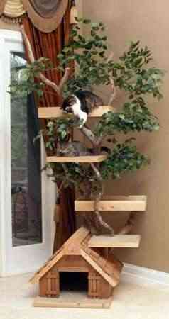 Casa árbol para gatos 2