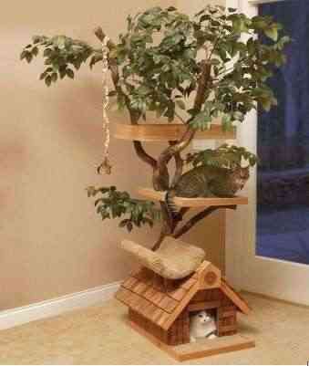 Casa árbol para gatos 1