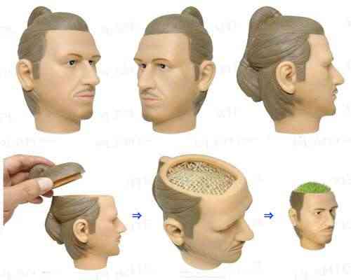 ¿Beckham en mi macetero? 2