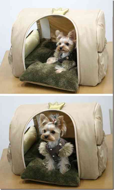 decoracion casas de mascotas-2