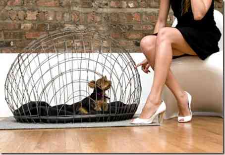 decoracion casas de mascotas-8