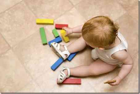 domitorios especiales -1