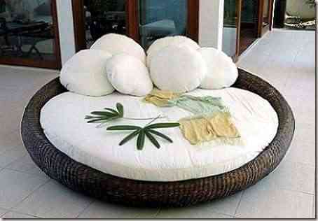 vanguardia en nuestro jardin-4