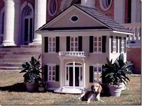 casa-perro-moderna-11