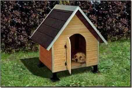 casa-perro-moderna-5