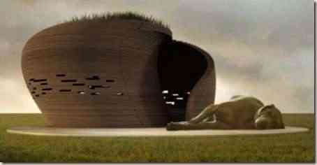 casa-perro-moderna-9