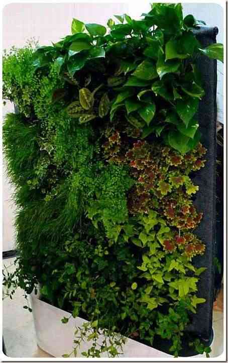Un jardín en la pared, disposiciones vegetales de interior 6 jardines interiores-8