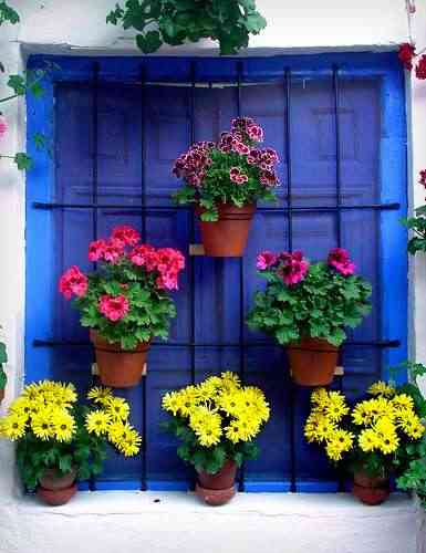 macetas para tu ventana