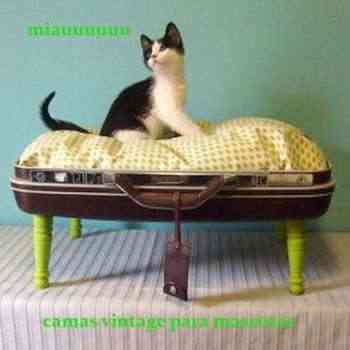Cama vintage para gatos: decorando el rincón de nuestra mascota