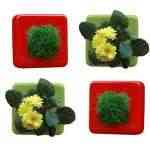 flowerbox2-150x150 Flowerbox, naturaleza vertical