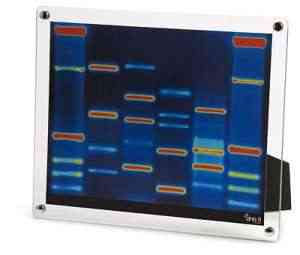 portaretratos-adn portaretratos-adn