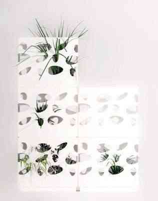 macetero-viteo macetero-viteo