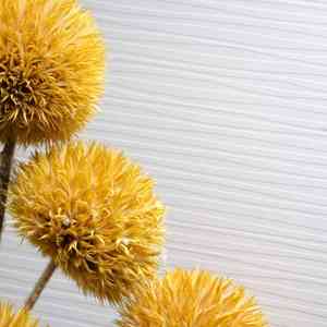 formica-vertical Nueva gama Sculpted de Formica, decoración vertical 1