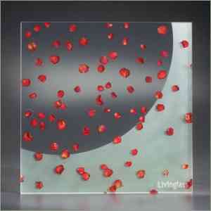 Paneles de vidrio de Livinglass 3