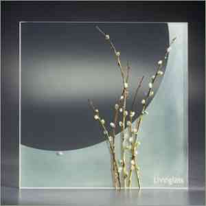 Paneles de vidrio de Livinglass 4