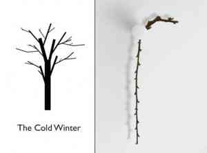 reloj-rama Diseña tu propio reloj con "The meaning of the time" 2