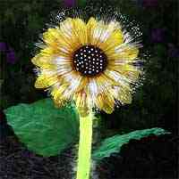 flor sol