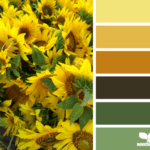 paleta de colores girasoles