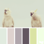 paleta de colores verdes y azules