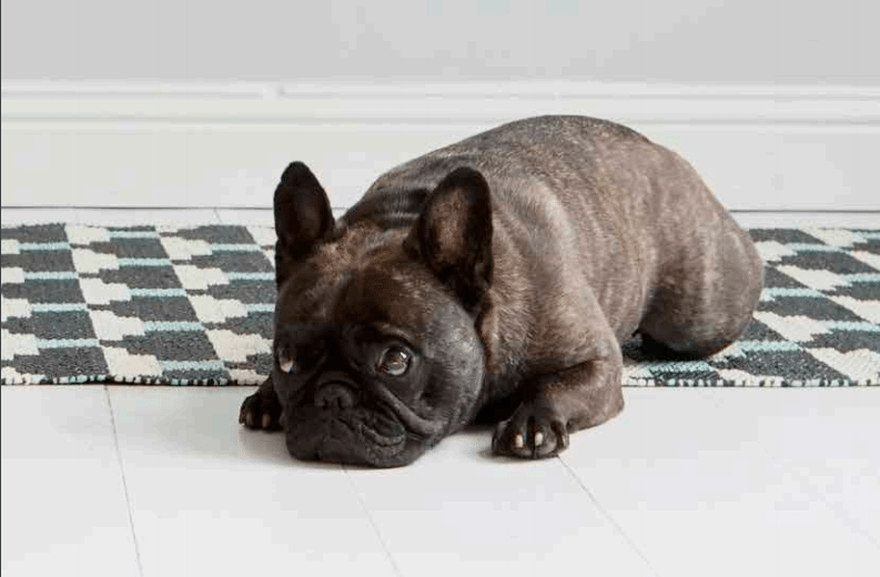 alfombra de plastico reversible