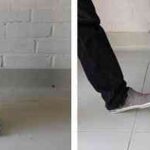 cubo basura minimalista