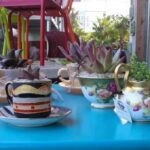 decoracion tazas con plantas