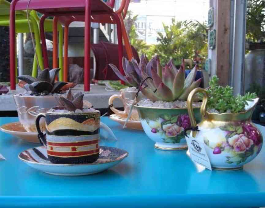 Tazas de té y azucareros con plantas