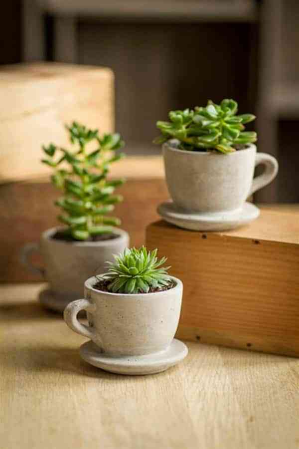 Tazas de té y azucareros con plantas 2