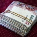 almohada billetes mao3