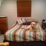 dormitorio restauración