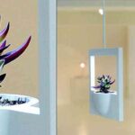 marco planta polaroid