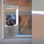 marco planta polaroid3