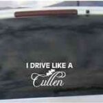 Vinilo crepusculo coche