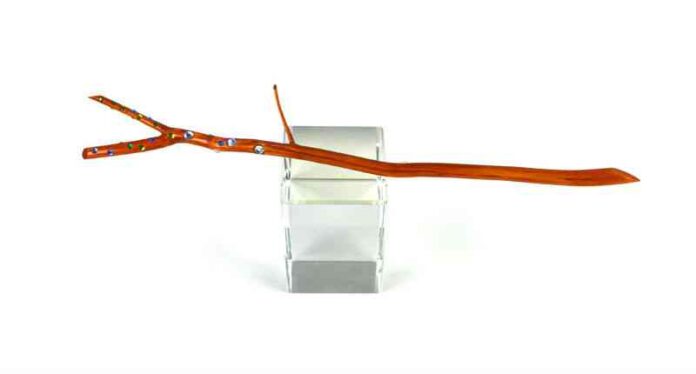 varita mágica kibardin