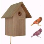 Casita de pájaros que ilumina en el interior 4 Casita de pájaros que ilumina en el interior 5