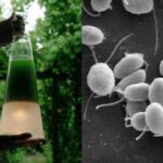 Iluminación ecológica