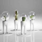 domsai_by_matteo_cibic_2