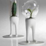 domsai_by_matteo_cibic_3