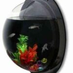 Pecera estilo ojo buey barco