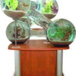 acuarios_comunicantes2