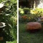 cool-garden-furniture-toadstool-furniture