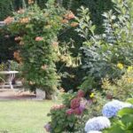 decoración de jardines