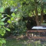 decoración rústica para jardines