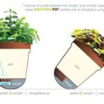 foto-roly-pot-3-yanko-design