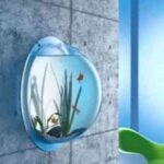 mid_35cd818fd6d13ffe8f7895996e824416_pecera_pared1