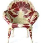 silla-anatomia-humana