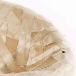 silla_mold_clara_lateral