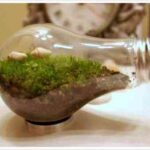 01_lightbulb_112309-500×338