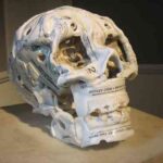 462921315_0e1ebffa02