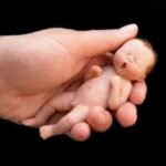 bebesdeporcelana003trucxz9